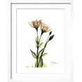 thumbnail image 2 of Art.com Gentian Twins Art Print by Albert Koetsier, White Frame Wall Art, 17" x 21", 2 of 5