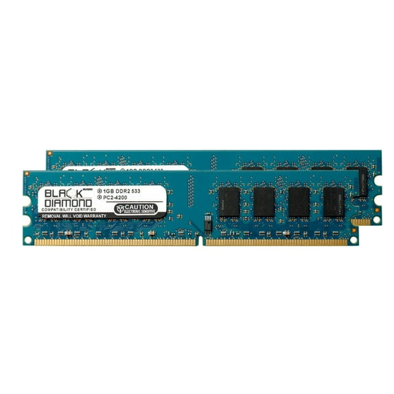 2GB 2X1GB RAM Memory for Intel D Series D925XEBC2 DDR2 DIMM 240pin PC2-4200 533MHz Black Diamond Memory Module Upgrade