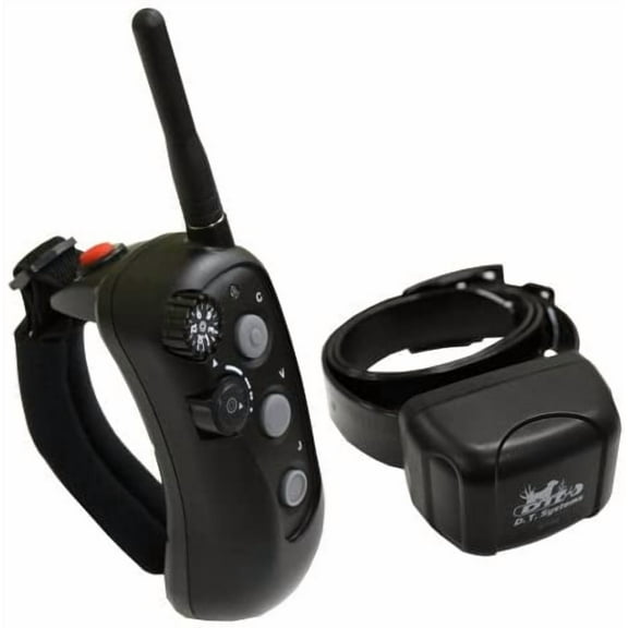 Rapid Access Pro Trainer