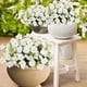 thumbnail image 5 of Eoozwa 3 Packs Artificial Flowers 7-Head Bouquet Realistic Silk Floral Stems for Home Decor Wedding Centerpieces and Outdoor Garden Photography Props Long-Lasting Spring Collection, 5 of 6