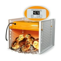 Chick Brooder Heating Plate Chicken Brooder Heater with Adjustable Height and Angle, Digital Temperature Control US Plug