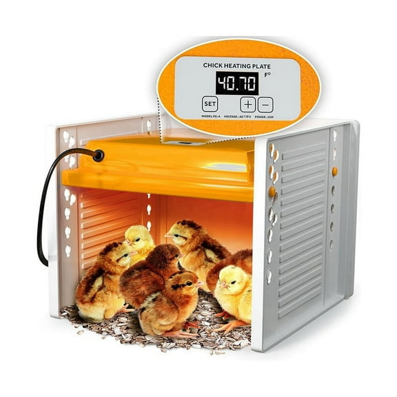 Chick Brooder Heating Plate Chicken Brooder Heater with Adjustable Height and Angle, Digital Temperature Control US Plug