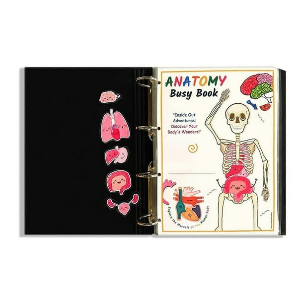 Human Anatomy Busy Book Kids A4 Anatomy Learning Binder Early Educational Preschool Curriculum & Homeschooling