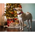 thumbnail image 4 of Collar para perro DOGWONG L 3-6 kg de algodón rojo a cuadros navideños, 4 of 6