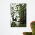 thumbnail image 1 of Cypress Tree with Spanish Wall Mural by Wallmonkeys Peel and Stick Graphic (36 in H x 24 in W) WM86866, 1 of 4