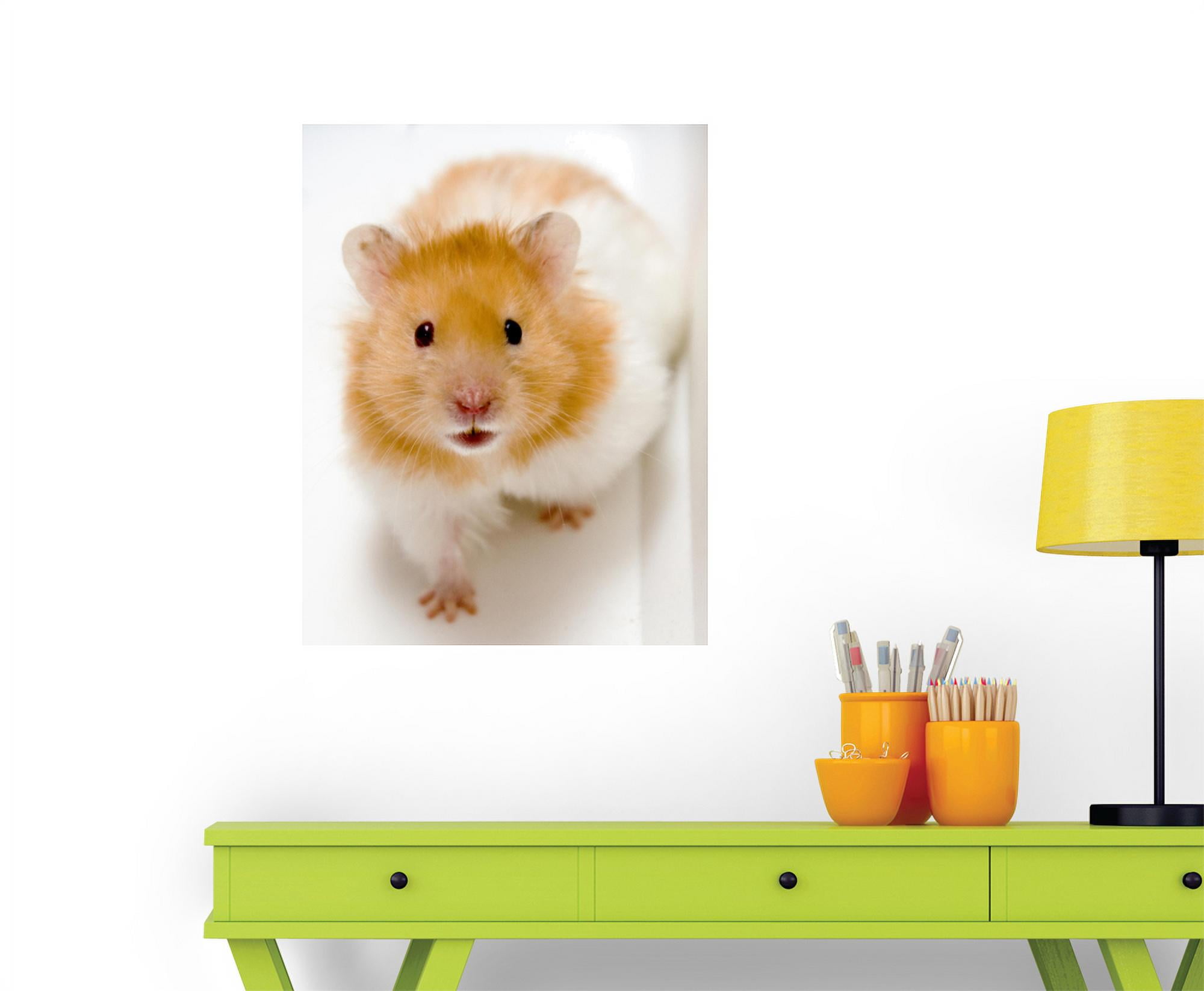 Hamster Wall Decal WM203704 by Wallmonkeys (36 in H x 28 in W