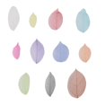 thumbnail image 1 of 100pcs Natural Dried Flowers Specimen DIY Materials Bookmark Greeting Cards Manual Art Craft Multifunction Decoration(Assorted Color), 1 of 2