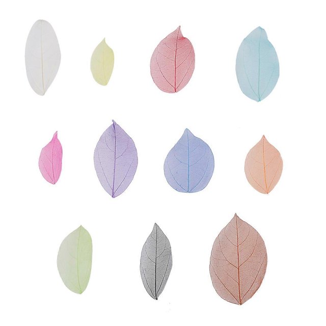 100pcs Natural Dried Flowers Specimen DIY Materials Bookmark Greeting Cards Manual Art Craft Multifunction Decoration(Assorted Color)