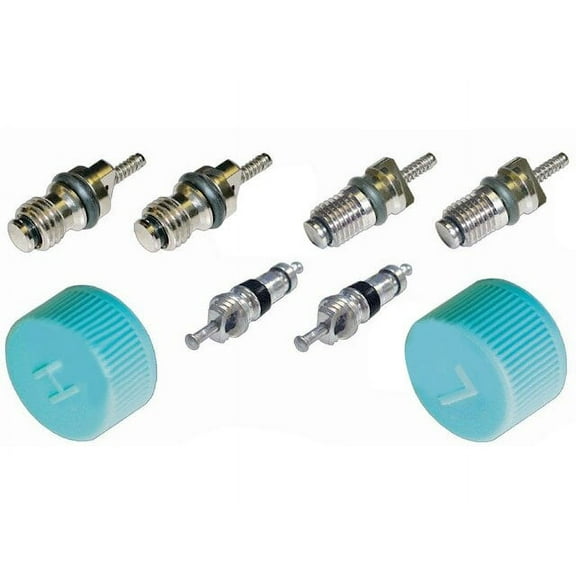 A/C System Valve Core and Cap Kit - Compatible with 1994 - 2018 Hyundai Elantra 1995 1996 1997 1998 1999 2000 2001 2002 2003 2004 2005 2006 2007 2008 2009 2010 2011 2012 2013 2014 2015 2016 2017