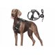 thumbnail image 1 of Pechera Arnés De Seguridad Para Perro Chico Mediano Y Grande Xtellar negro, 1 of 4