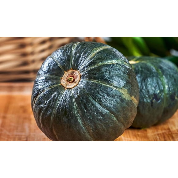 HJADGG Baby Pumpkin 20 Seeds – Beibei Kabocha – Non-GMO, Sweet & Nutty Flavor, High-Yield, Easy to Grow for Home Garden & Farm