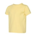 thumbnail image 2 of Rabbit Skins - New - NIB - Toddler Fine Jersey Tee, 2 of 5