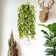 thumbnail image 4 of Decoración de pared artificial colgante, enredadera artificial para el hogar, plástico, interior y exterior, imitación de alambre de hierro, techo decorativo, balcón, porche, cerca, jardín,, 4 of 6