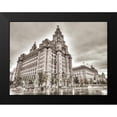 thumbnail image 2 of Frank, Assaf 18x15 Black Modern Framed Museum Art Print Titled - Royal Liver Building, Liverpool, FTBR-1866, 2 of 5