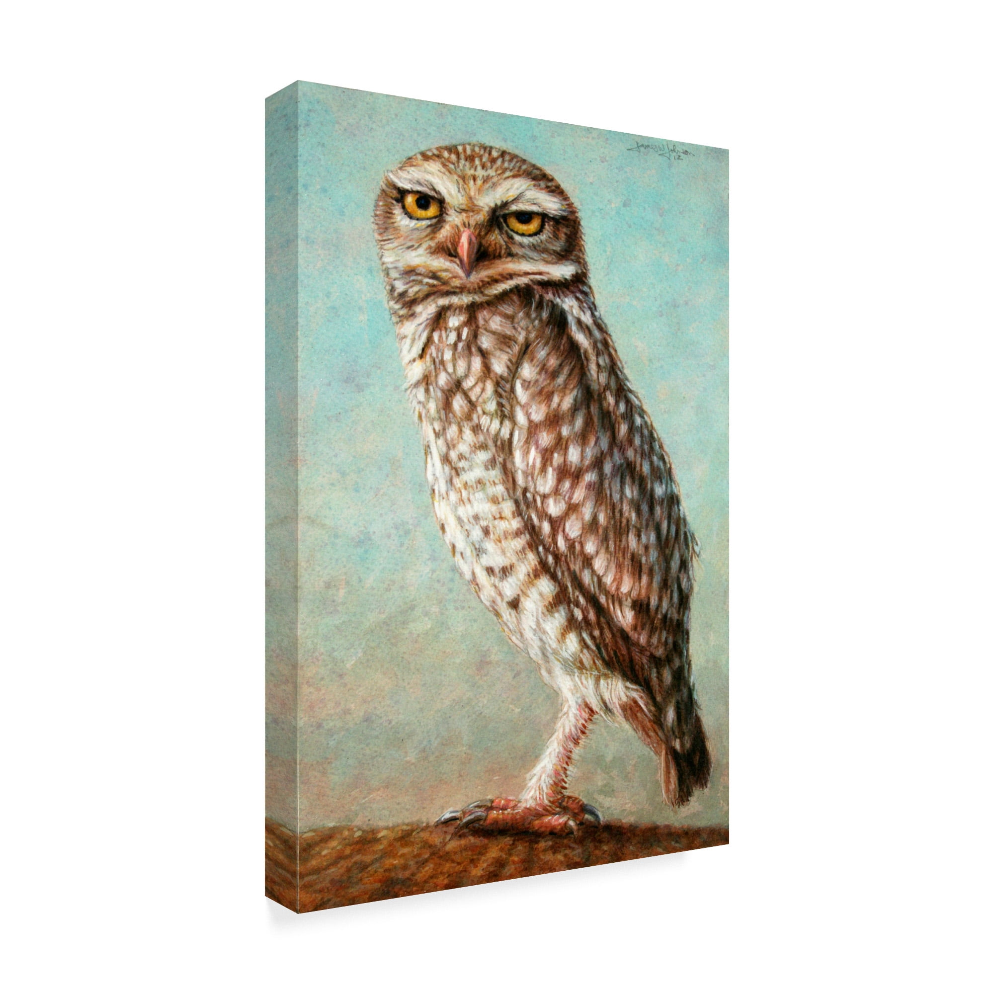 Trademark Fine Art 'Burrowing Owl' Canvas Art by James W. Johnson