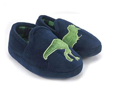 dinosaur kids slippers