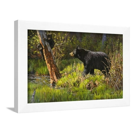 Black Bear Framed Print Wall Art By Bruce Miller Walmart Com