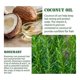 thumbnail image 5 of 1-3 piezas de suero para el crecimiento del cabello con romero, aceite esencial anticaída, productos para un rápido crecimiento del cabello, 2 piezas, 5 of 5