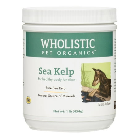 Organic Sea Kelp - Wholistic Pet Organics Sea Kelp Healthy Body Function Dog Supplement, 1 Lb