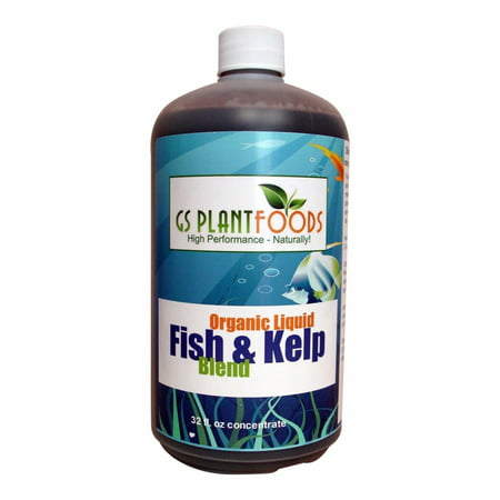 Fish & Kelp Liquid Blend Organic Natural Plant Fertilizer, Sea Kelp Plant Fertilizer Soil Nutrient Enzyme Based Supplement 1 Quart (32 Fl. Oz.) of (Best Nutrients For Weed In Soil)
