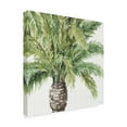 thumbnail image 2 of Trademark Fine Art 'Mixed Greens III' Canvas Art by Lisa Audit, 2 of 3