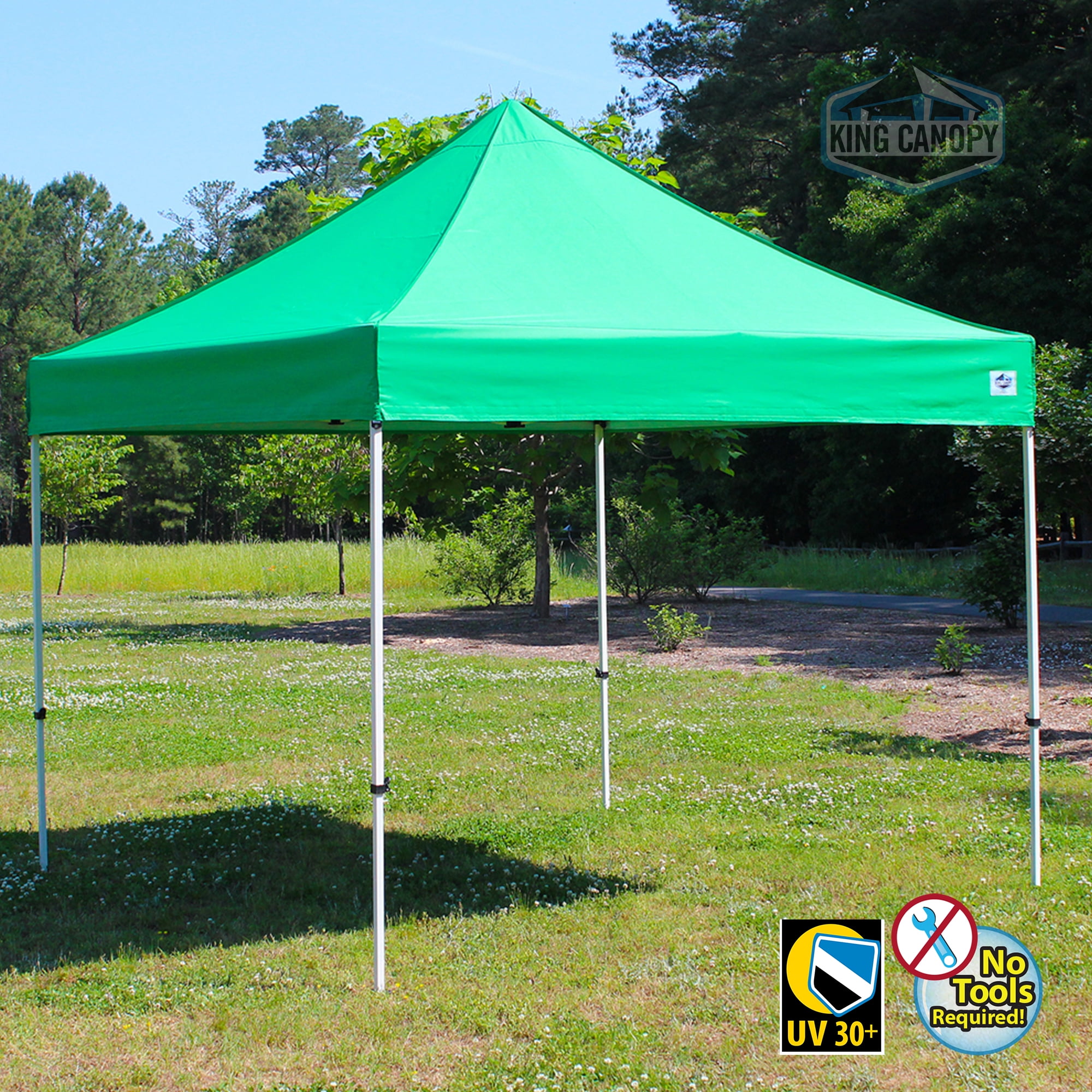 King Canopy FESTIVAL 10X10 Instant Pop Up Tent w/ GREEN ...