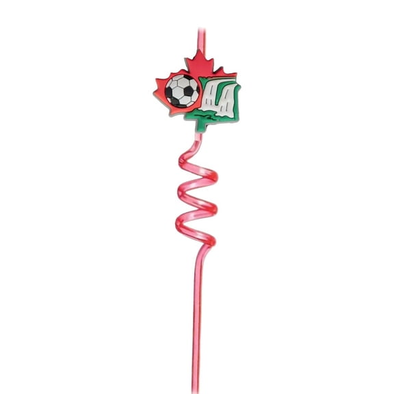Stainless Steel Smoothie Straws Extra Wide Reusable Metal Drinking Straws for Milkshake, Smoothie, Beverage