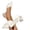 White, variant on Womens Plus Size Chunky Heel Pointed Closed Toe Sandals, Wide Foot Sandals for Women Dressy, Comfortable Block Heel Dress Shoes for Office Wedding Summer