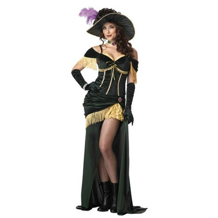 Womens Saloon Madame Adult Halloween Costume