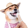 thumbnail image 4 of Cepillo de dientes transparente para mascotas, blanco lechoso, para perros y gatos, juego combinado de 8 cepillos de dientes profesionales para perros y gatos, higiene dental para mascotas Adepaton 2034756, 4 of 9