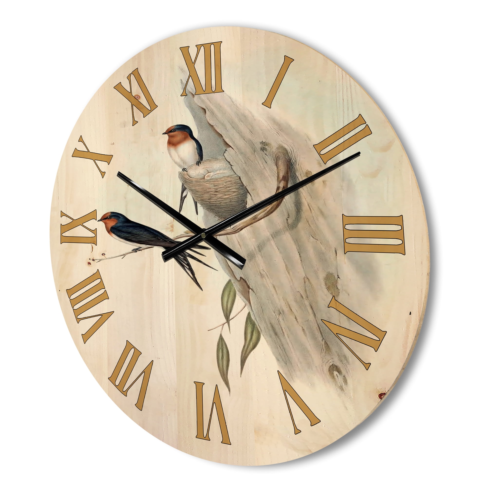 Designart 'Ancient Australian Bird Illustrations II' Traditional Wood Wall Clock