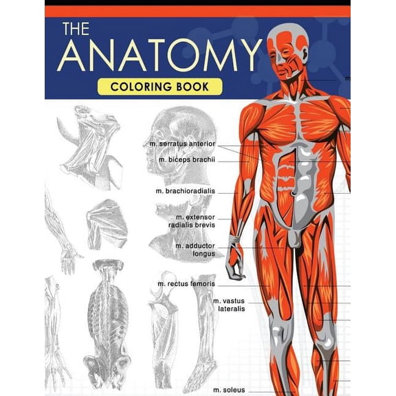 The Anatomy Coloring Book (Paperback)