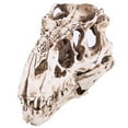 thumbnail image 3 of maskred Halloween Resin Dinosaur Head Skeleton Model Simulated Animal Skeleton Home Office Decor Craft, 3 of 6