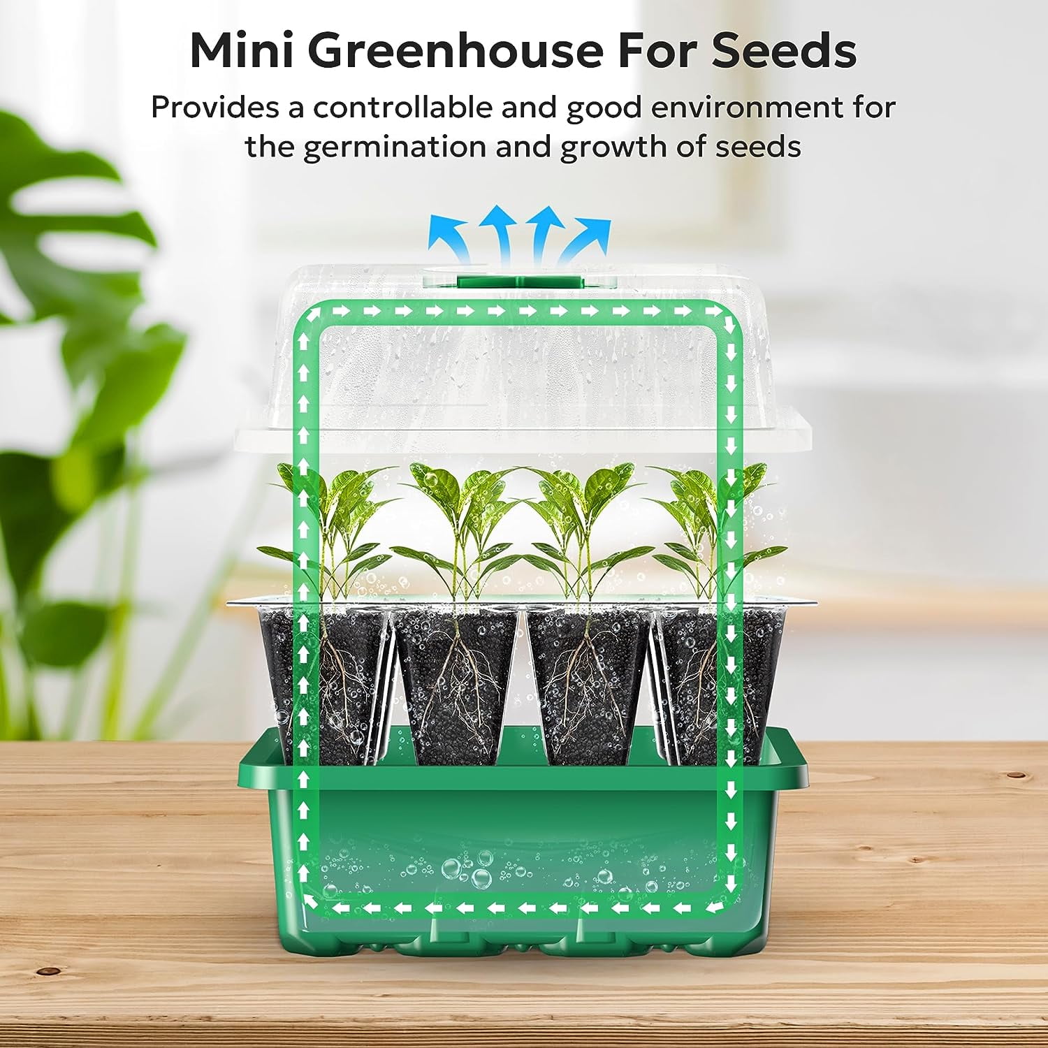 10 Packs Seed Starter Tray Seed Starter Kit with Humidity Dome (120 Cells Total Tray) Seed Starting Trays Plant Starter Kit and Base Mini Greenhouse Germination Kit for Seeds Growing Starting Green