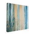 thumbnail image 2 of Trademark Fine Art 'Tiger Stripes II' Canvas Art by Teodora Guererra, 2 of 3