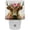 Multi-colored, variant on PhooArto Vintage Owl on Wood Plug in LED Night Light Auto Sensor Dusk to Dawn Decorative Night for Bedroom, Bathroom, Kitchen, Hallway, Stairs, Baby's Room, Energy Saving