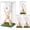 Clear, variant on Hasako Baseball Display Case and Wood Stand Acrylic Baseball Holder Acrylic Box with Grass Pad for Ball Display Mini Wooden Bat Showcase Holders for Memorabilia Autograph Ball(1 Pack)