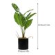 thumbnail image 2 of GOOHOCHY Decoración de planta de arrurruz artificial Decoración de bonsái de planta de arrurruz artificial Decoración del hogar, 2 of 8