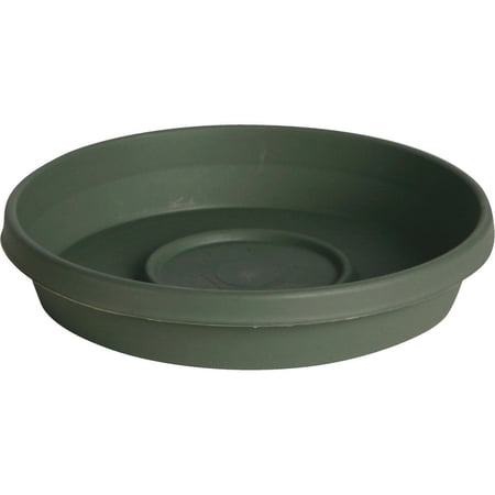 Bloem Terra Living Green 16 In. Plastic Flower Pot Saucer 51416 51416 729933