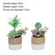 thumbnail image 2 of Hermosas plantas artificiales para decoración de dormitorios., 2 of 5