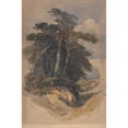 thumbnail image 3 of William James Müller 13x18 Black Modern Framed Museum Art Print Titled - Pines on Hampstead Heath (1842), 3 of 5