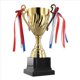 thumbnail image 3 of Copa de Trofeo de de 11,4 Pulgadas para Competiciones de Reuniones Deportivas, Premios del Equipo de Fútbol y Recuerdos de Fiestas de Competición, 3 of 9