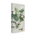 thumbnail image 2 of Trademark Fine Art 24 x 47 Canvas Art ' Lotus Pond I ' by Melissa Wang, 2 of 4