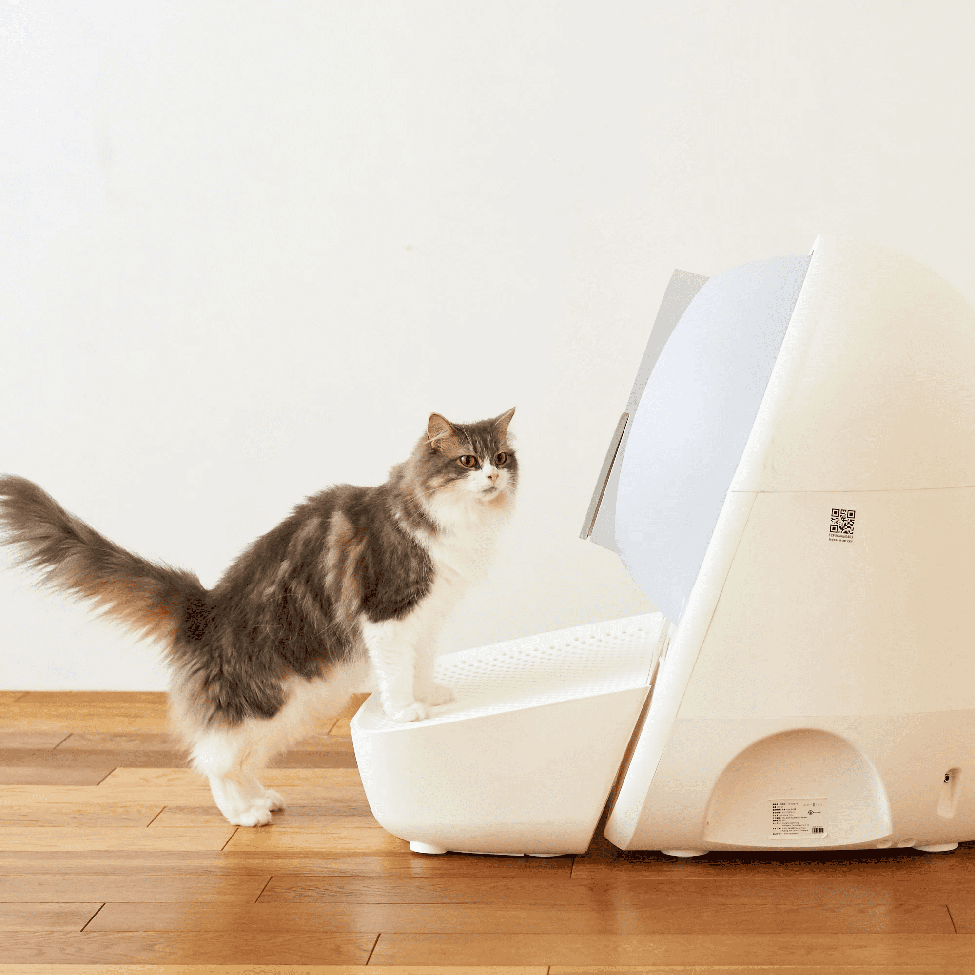 CATLINK SE Ramp White, Easy Entry for Elder Cats, Kitten and Cats with Limited Mobility, Traps Mess from Box and Paws
