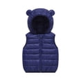 thumbnail image 3 of Girls Boys Winter Coat Lightweight Kids Vest Zip Up Hooded Fall Jackets Girls Trendy Clothes Navy 100, 3 of 3