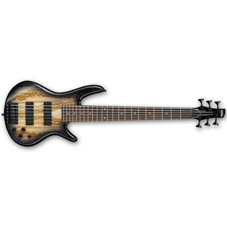 Ibanez GSR206 Gio Series 6-String Bass Guitar - Natural Grey (Best 6 String Bass)