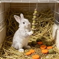 thumbnail image 6 of Pet Rabbits Teeth Grinding Toys, Chew Toys for Rabbits Hamsters Chinchillas, Natural Wooden Chewing Toys, Boredom Relief and Anxiety Reduction, Small Pet Entertainment Multicolor A, 6 of 6