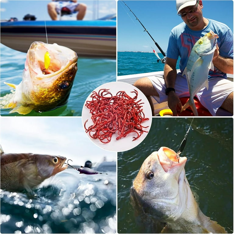 best hooks for shiner fishing Best Ways to Hook a Live Shiner in Every Situation