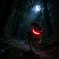 thumbnail image 6 of FeiFu LED Pet Collar for Dogs Double Optical Fiber Luminous Collar USB Rechargeable Glow in the Dark Collar Adjustable Safety Collar for Night Walking, 6 of 6