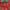 13" Bow Red/Green Glitter Floral, variant on LaRibbons 13" Decorative Christmas Tree Topper Bow (2.5" Wired Ribbon)  Red/Green Glitter Printed Floral